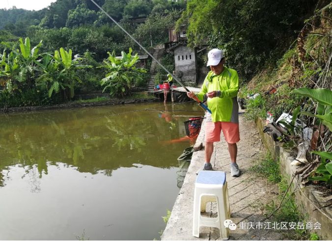 香港图库香港资料库
