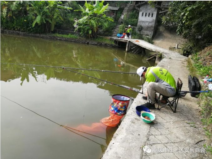 香港图库香港资料库