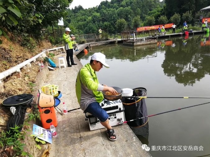 香港图库香港资料库