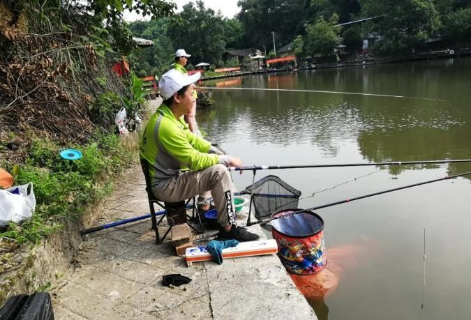 香港图库香港资料库