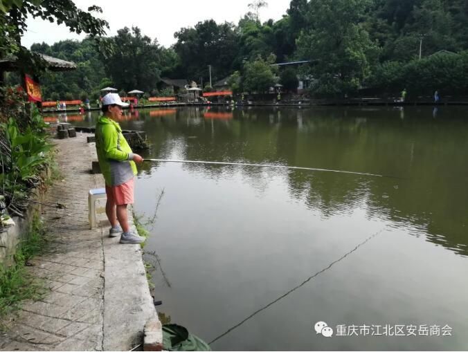 香港图库香港资料库