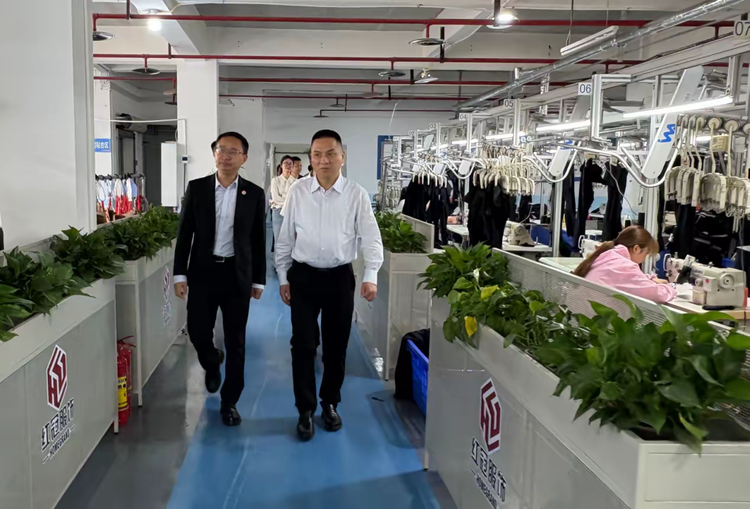 巴南区领导调研|朱激扬常委为红冠服饰高质量发展“把脉定向”